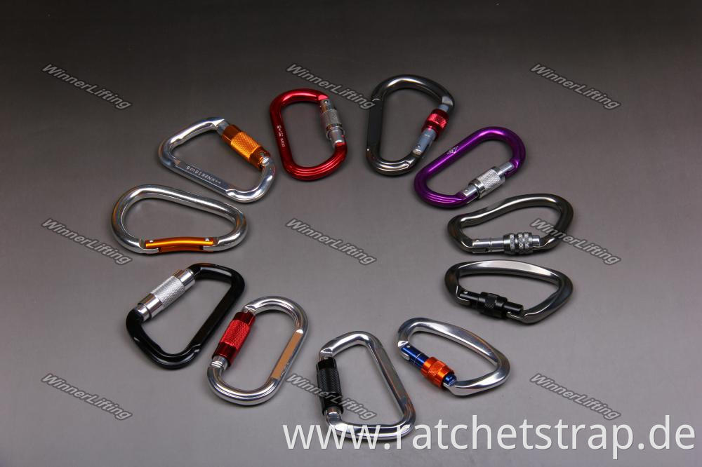 Carabiners19